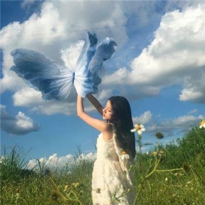 哈吉布基的森林冒险