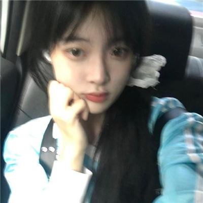 哈兰·科本的庇护所